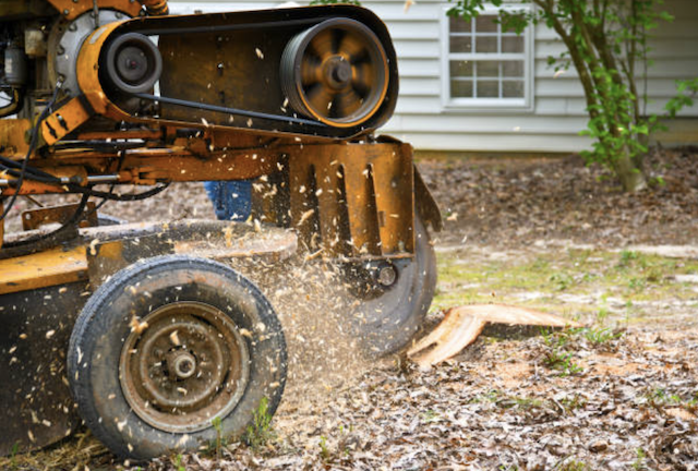 stump grinding los angeles ca